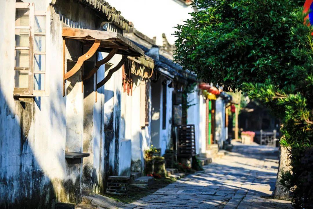 好浓的雾!路上都是开双闪的!刚刚气象台发布大雾黄色预警!